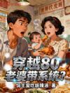 Խ80Ŵϵͳ